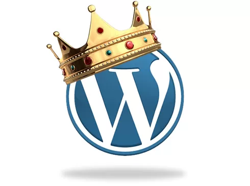 WordPress is king better than wix