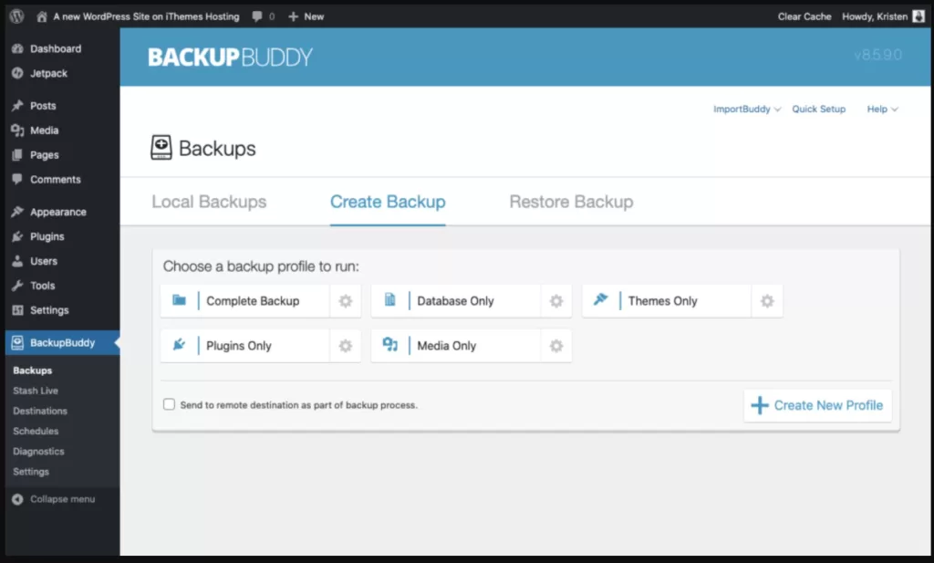 wordpress backup plugin backup buddy